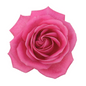 24 roses Bouquet